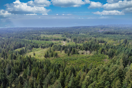 35 Acres in Roberts Creek - Sunshine Coast