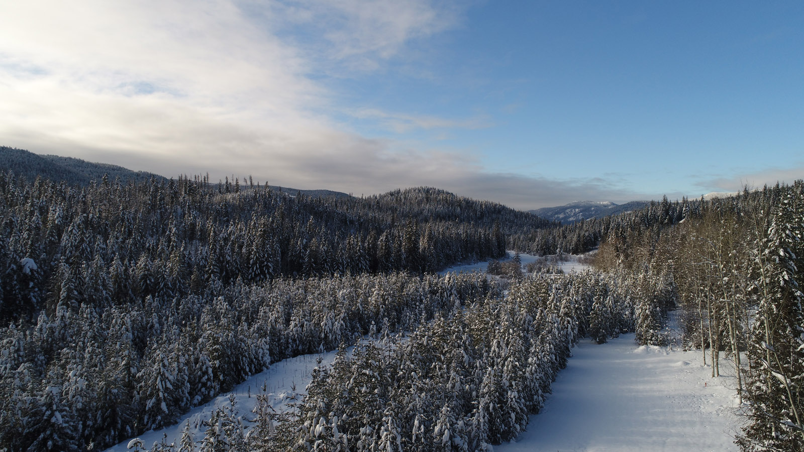 RV and Cottage Lots at the Lake East Barriere Lake LandQuest® Realty