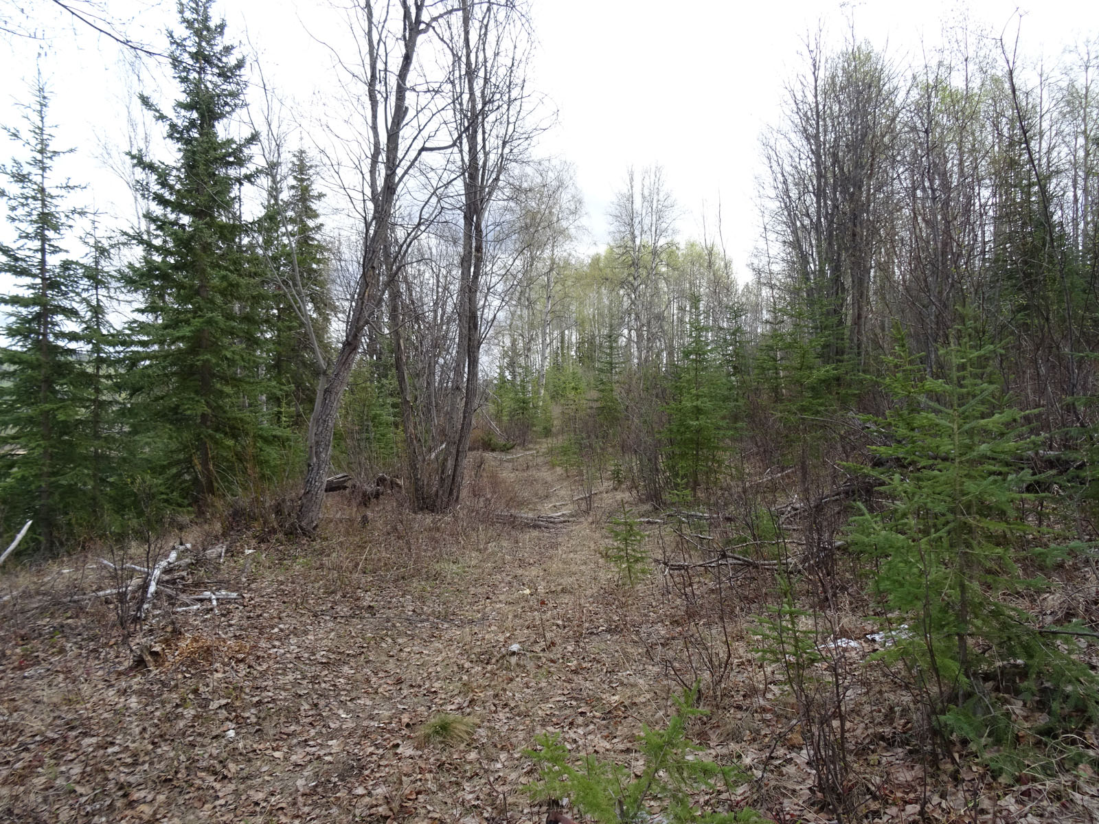 Waterfront Acreages on Burns Lake Heart of the Lakes District