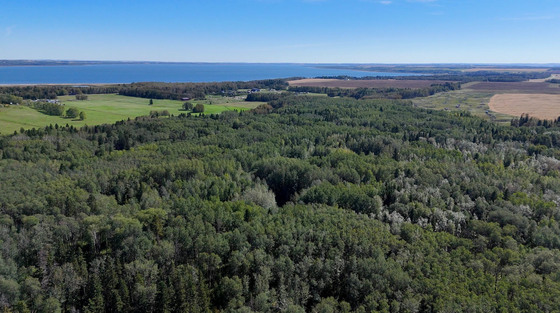 Gull Lake Woodland Quarter - 159.5 Acres of Recreation and Future Potential