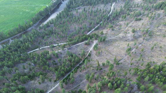 Kettle River Quarter - Rock Creek, BC