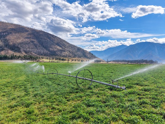 Harvest the Valley - 203± Acre Hay Farm in Botanie Valley, Lytton BC