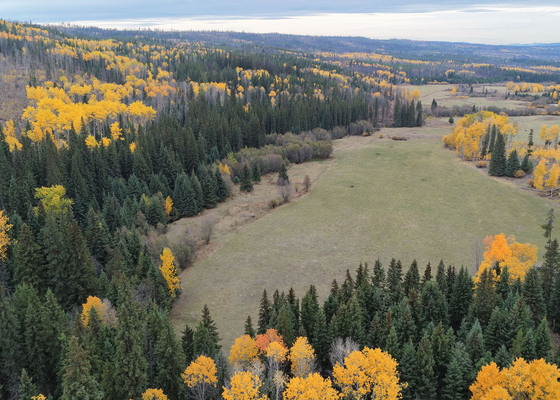 157-Acre Homestead with Creek Frontage & Water Licence – Criss Creek, BC