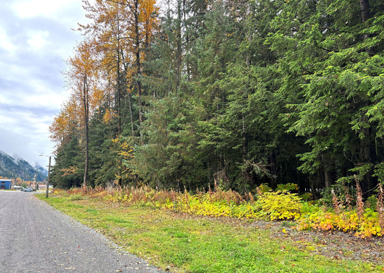 Investment Opportunity in Stewart, BC