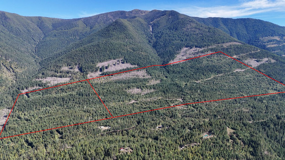Backcountry Acreage Overlooking Kootenay Lake - Gray Creek, BC