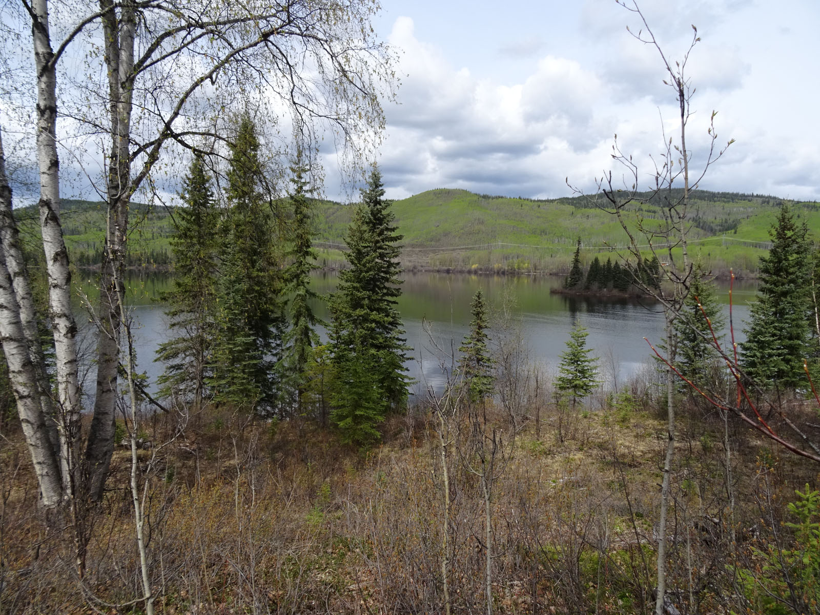 Waterfront Acreages on Burns Lake Heart of the Lakes District