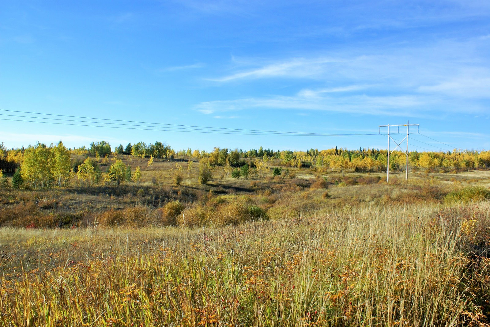 Large Private Acreage Rural Prince BC LandQuest® Realty