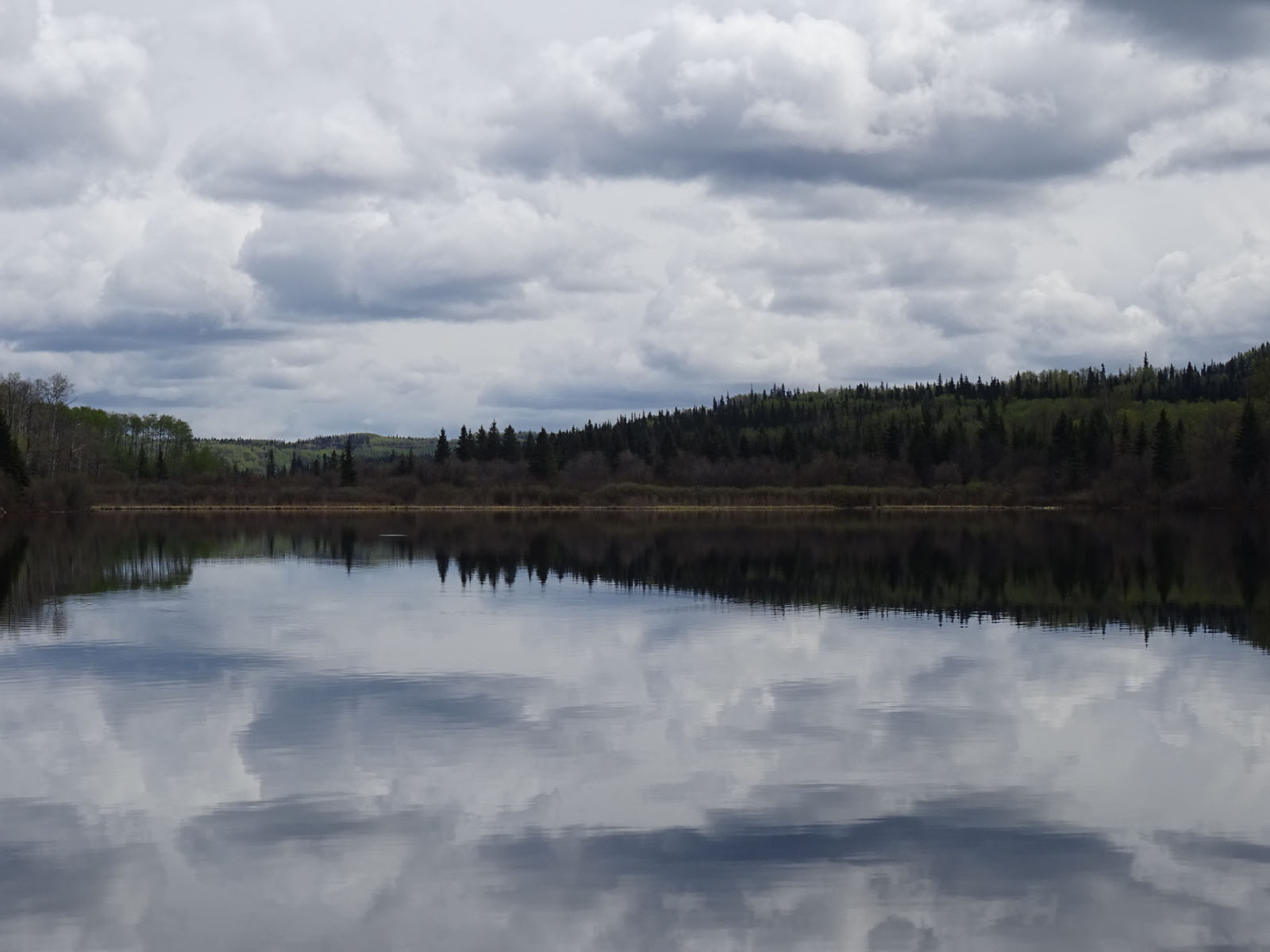 Waterfront Acreages on Burns Lake Heart of the Lakes District