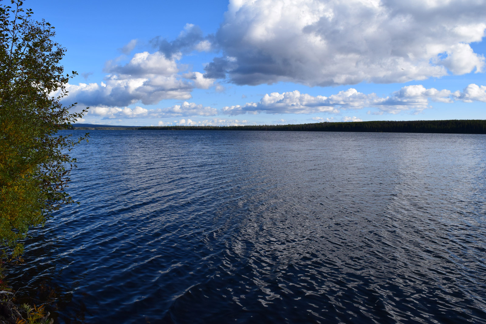 Lakefront Acreage with Mountain Views Nimpo Lake LandQuest® Realty