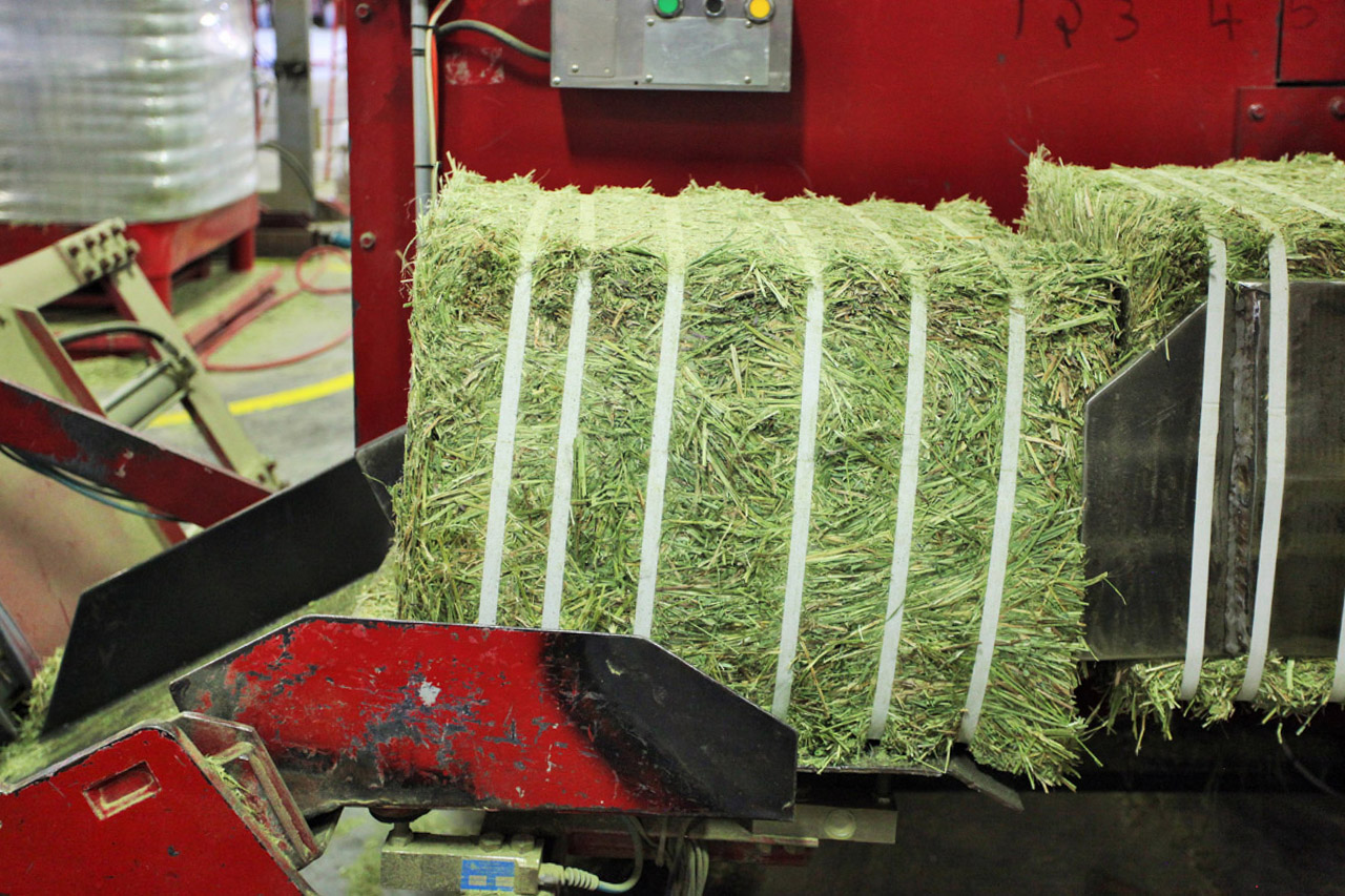 Hay Compression Export Business Vanderhoof, BC LandQuest® Realty