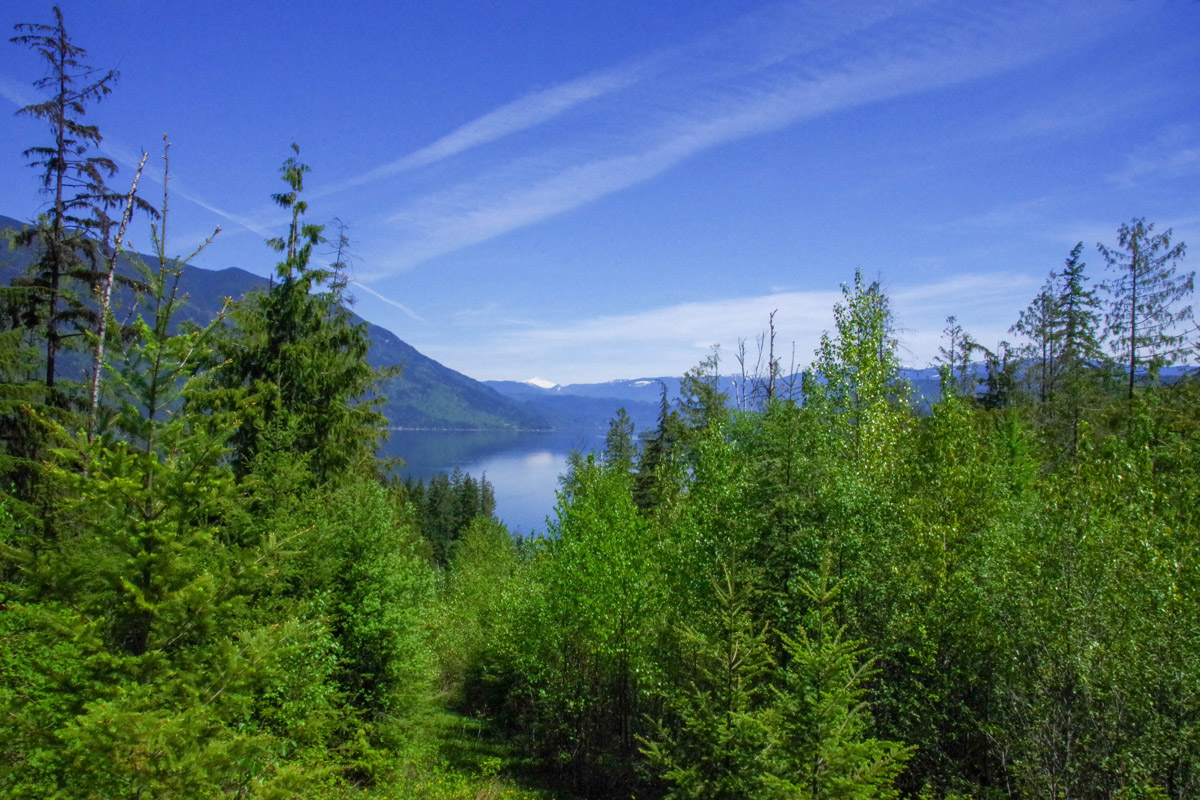 “Take It Easy” at Eagle Bay LandQuest® Realty