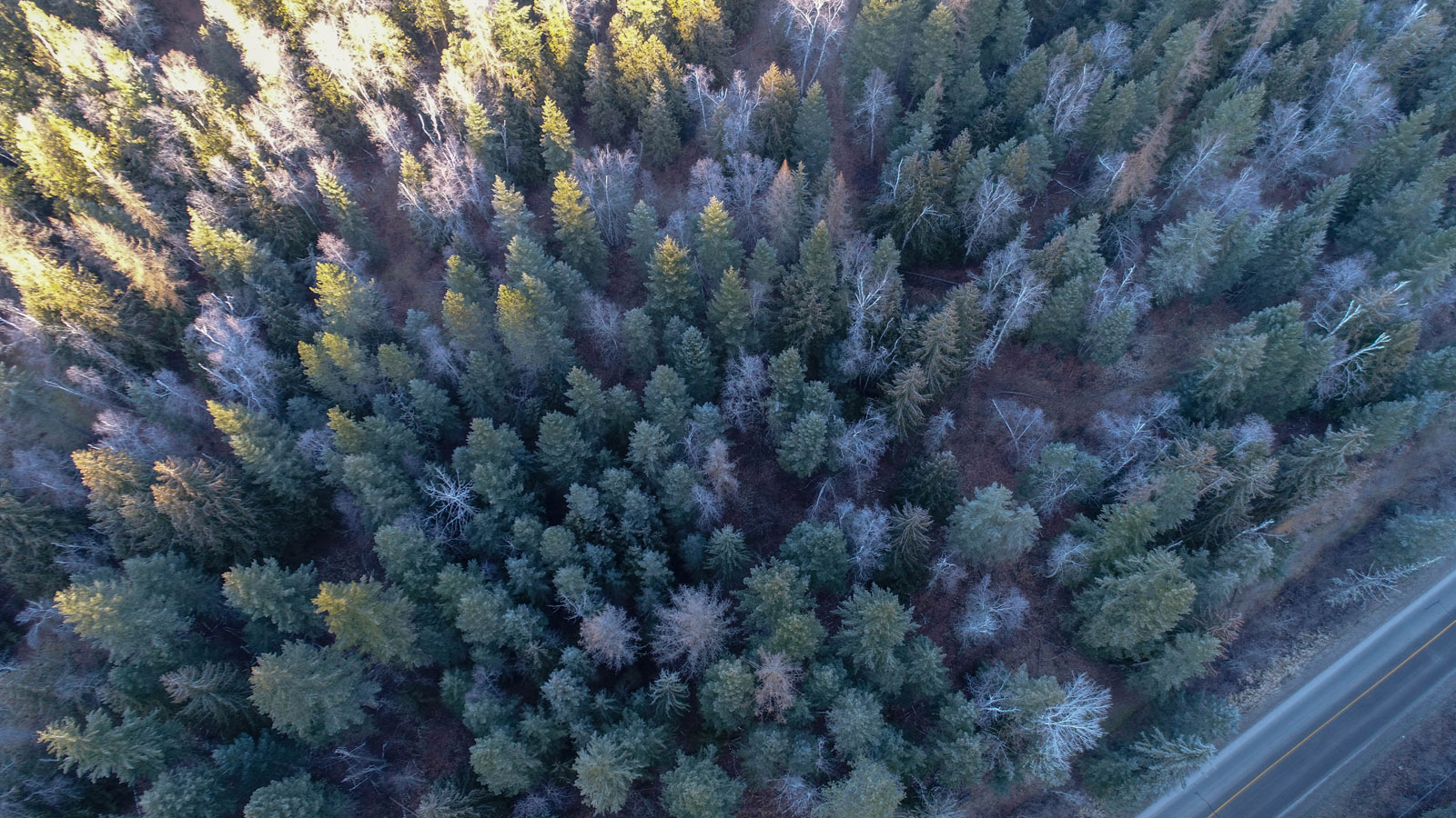 Certified Organic Acreage and Homestead Lumby, BC/Mabel Lake