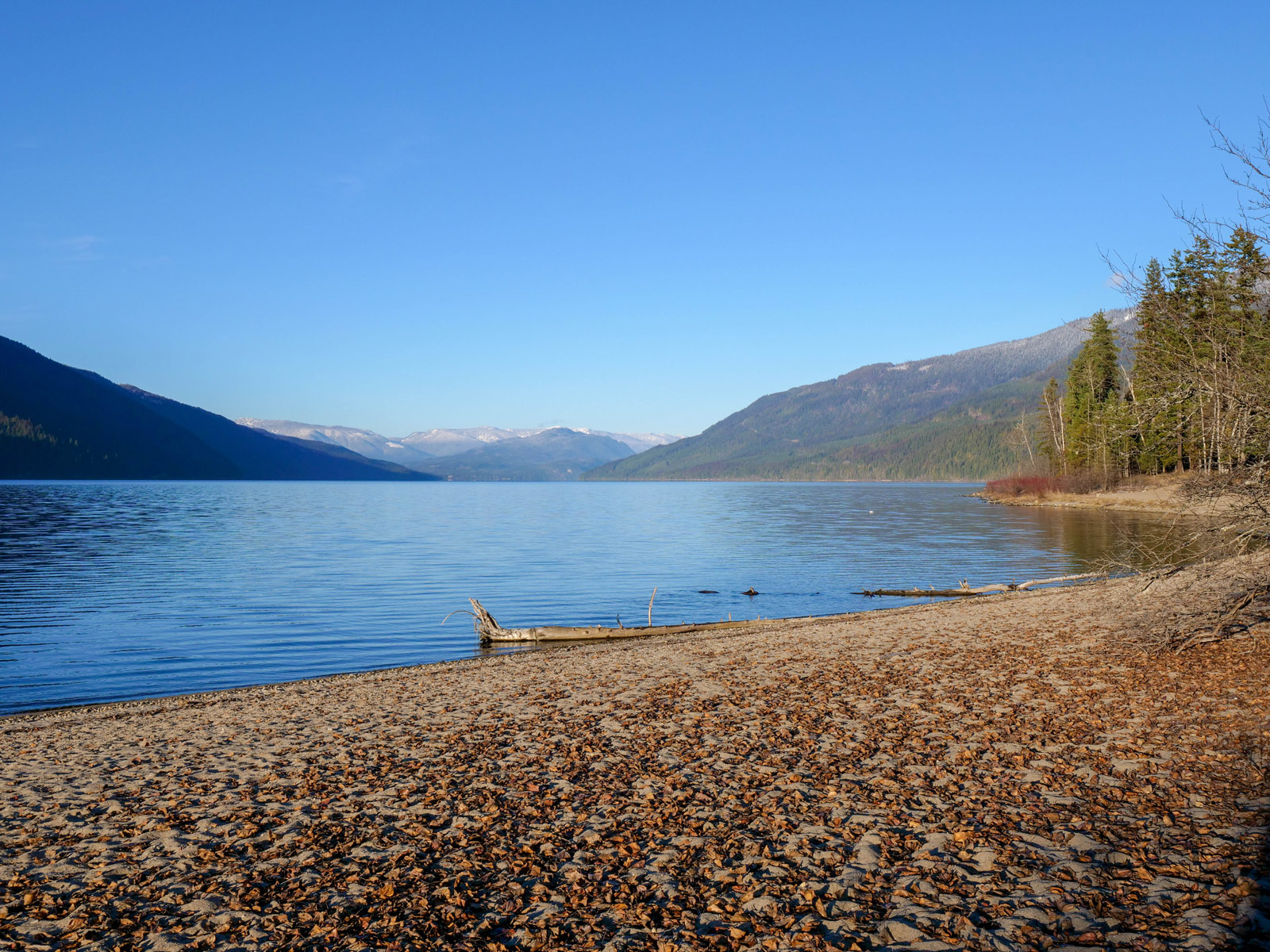 Certified Organic Acreage and Homestead Lumby, BC/Mabel Lake