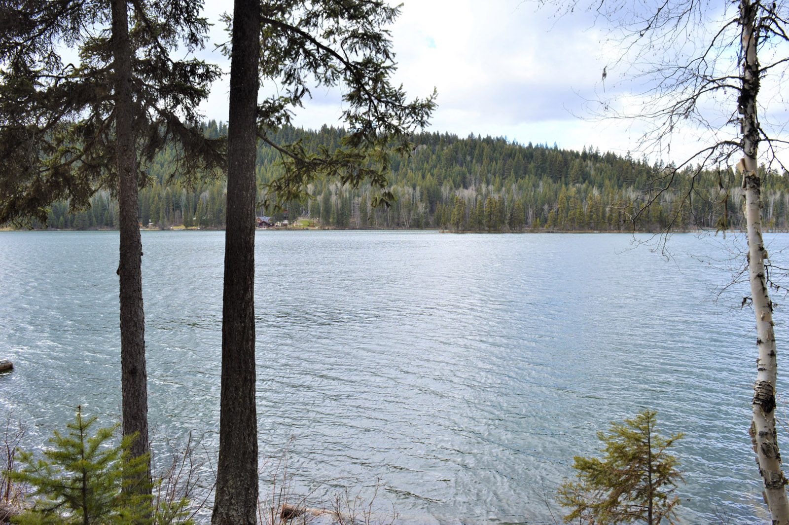 Affordable Ruth Lake Waterfront 100 Mile House, BC LandQuest® Realty