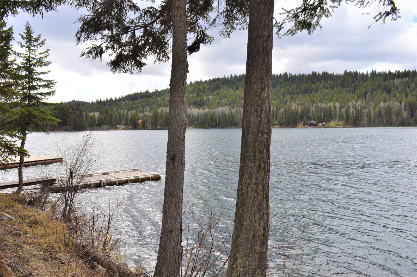 Affordable Ruth Lake Waterfront 100 Mile House, BC LandQuest® Realty