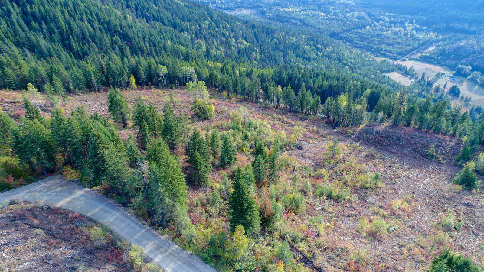 Old Cascade Highway View Acreages Rossland, BC LandQuest® Realty
