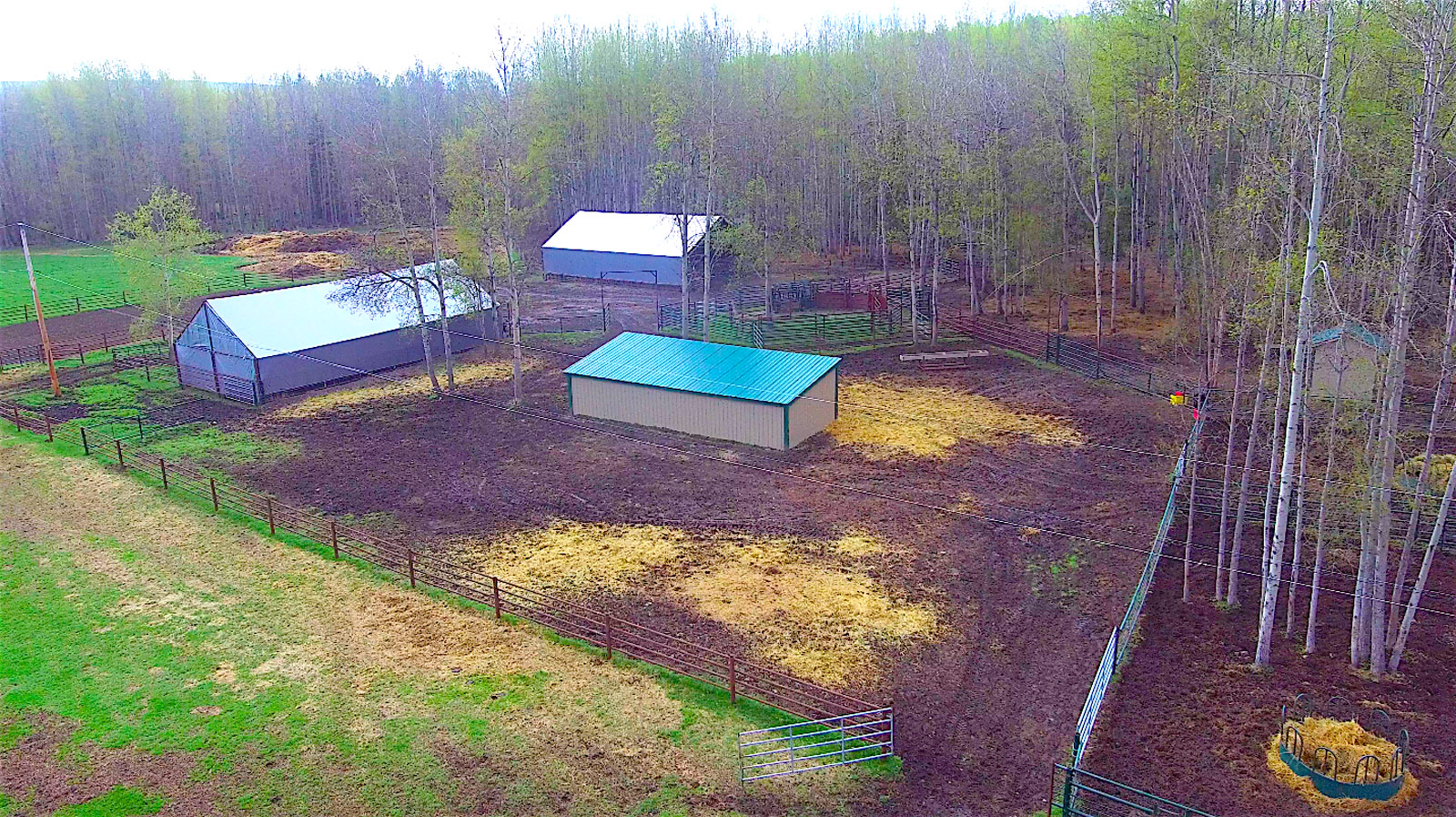 Trophy Lakefront Hobby Farm Oasis With Industrial Sized Shop 10 Mins