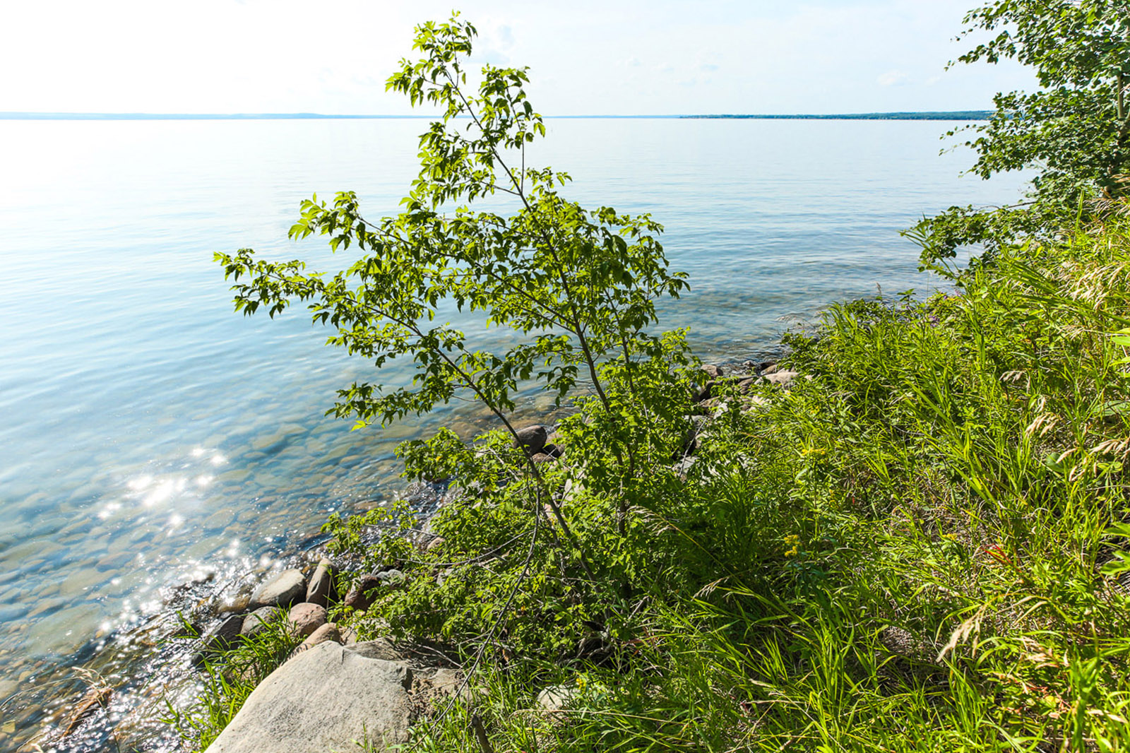 Lakefront Acreage Pigeon Lake, Alberta LandQuest® Realty
