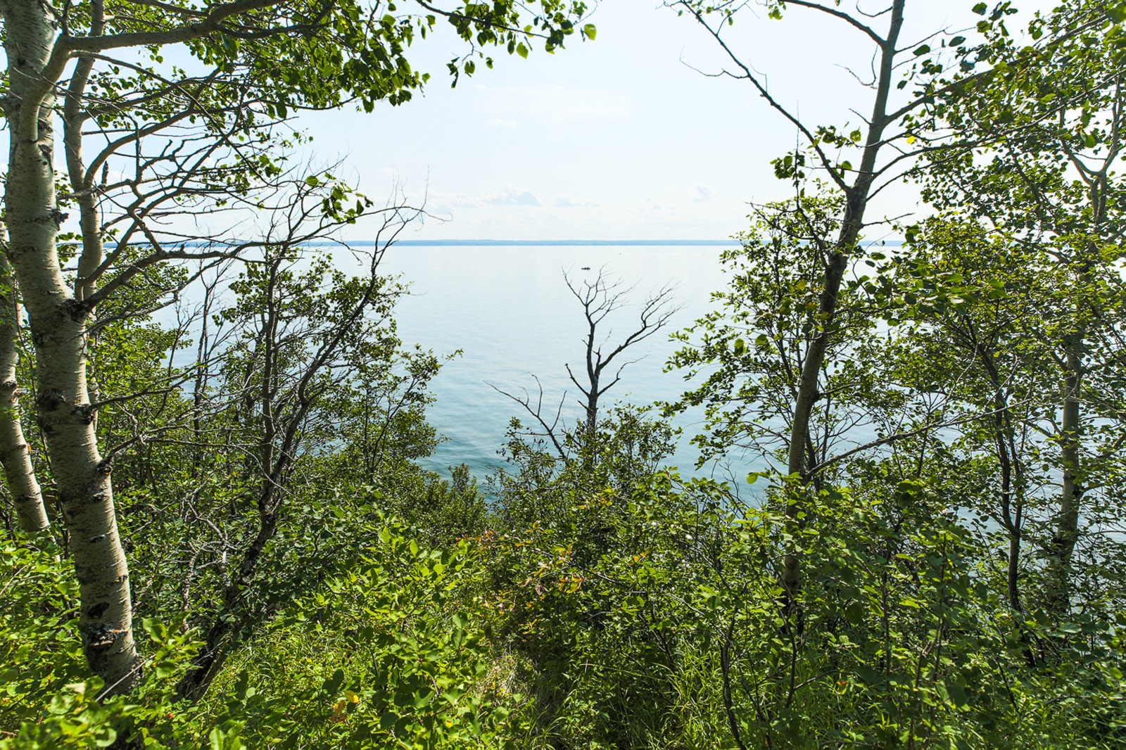 Lakefront Acreage Pigeon Lake, Alberta LandQuest® Realty