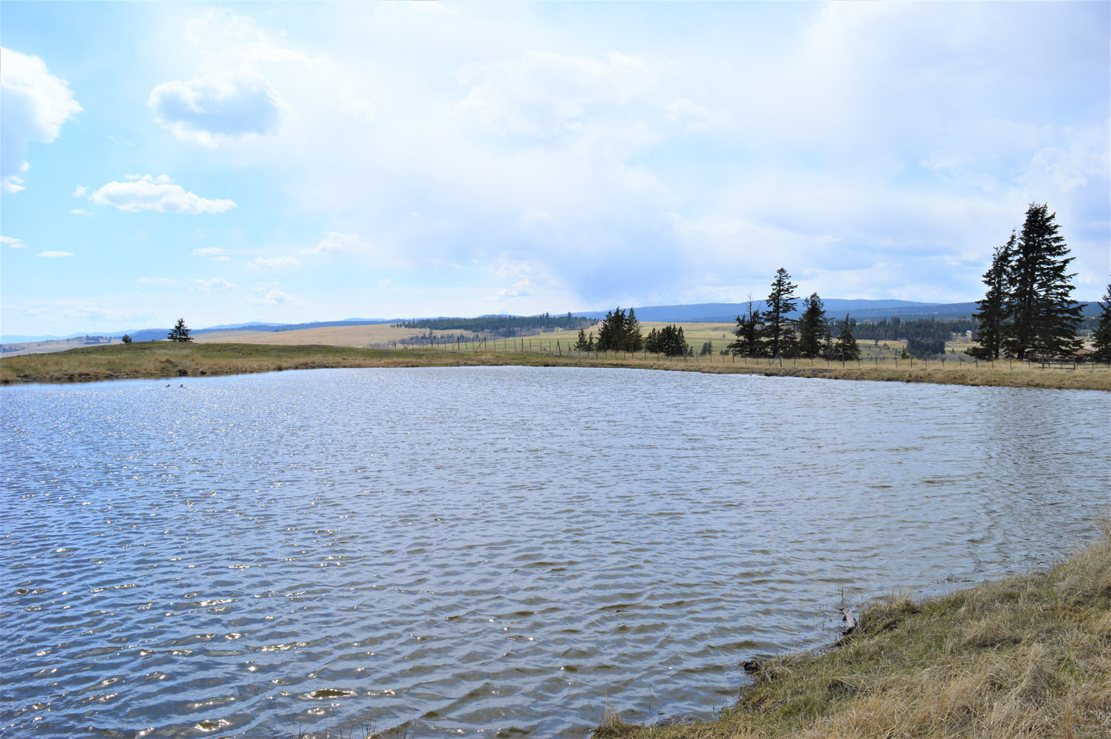 Stunning Home and Acreage with Panoramic Views Knutsford, BC