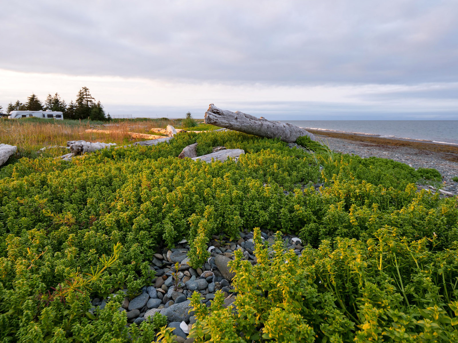 Seaside Golf Course with Development Potential Sandspit, Moresby