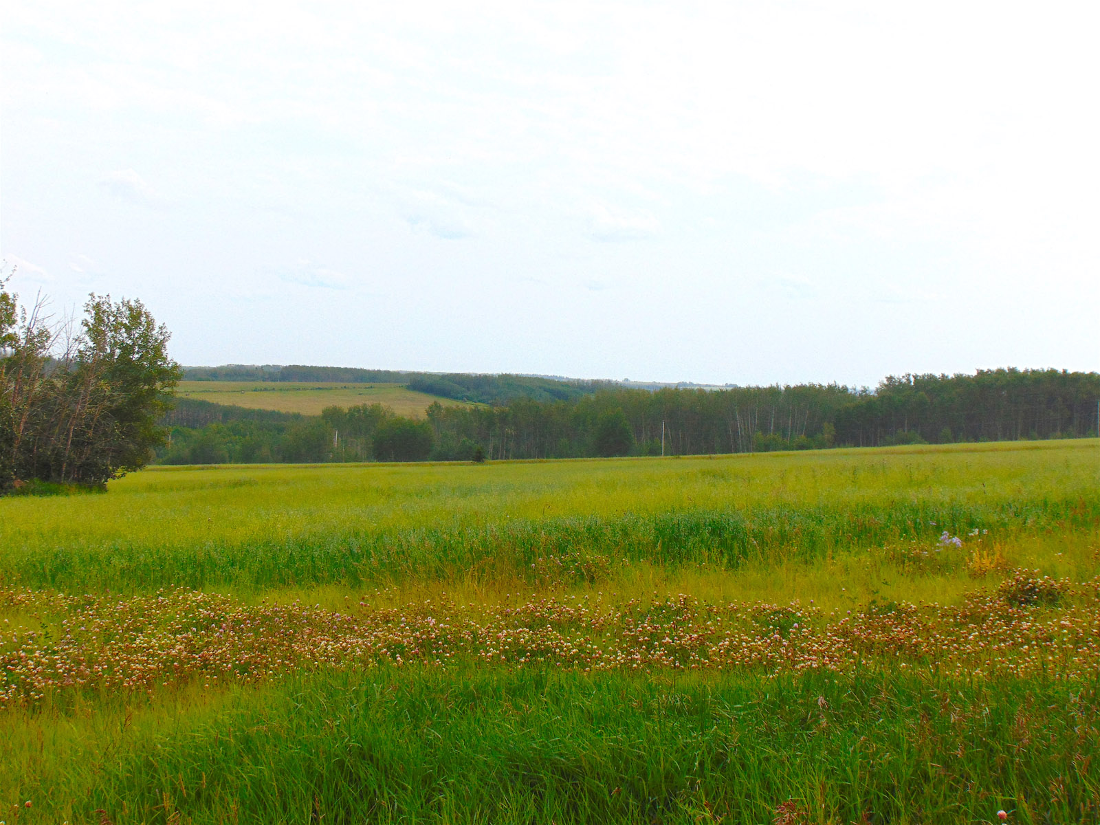 156 Acres of Premium Farm Land with Residence and Outbuildings