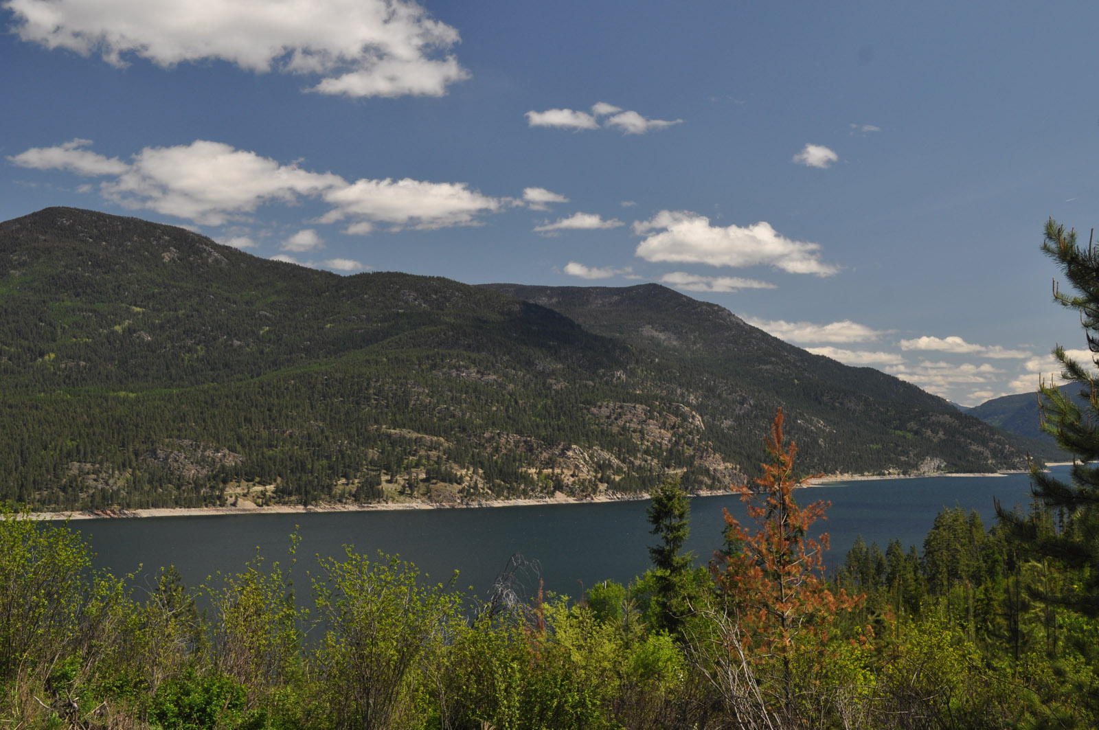 Backcountry Acreage/Ideal Hunting Camp Location Lower Arrow Lake, BC