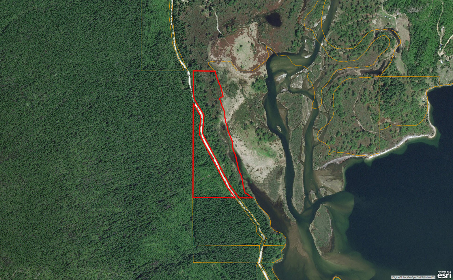 Back to Nature Recreational Retreat Adams Lake, BC LandQuest® Realty