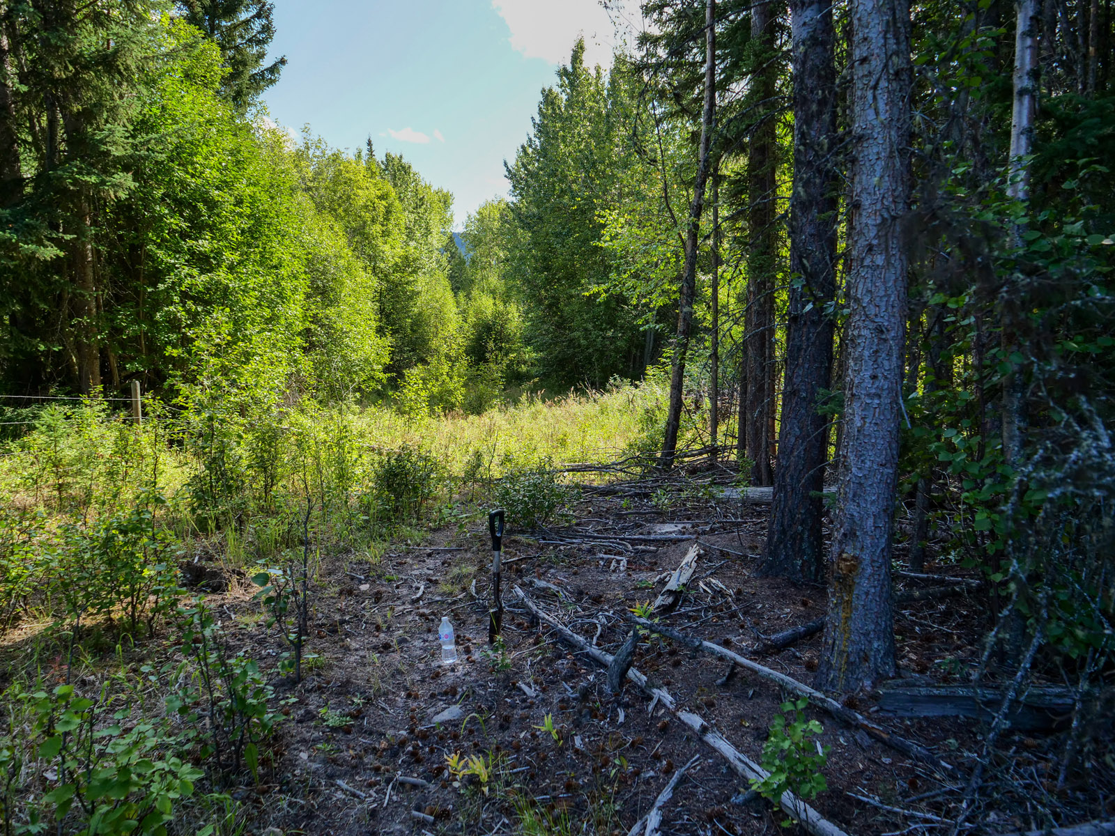 Home on the Range Robbins Range, Barnhartvale, BC LandQuest® Realty