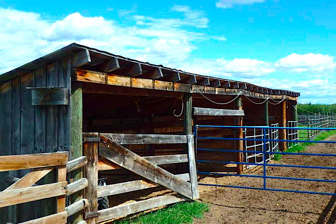 776Acre Ranch with Home, Shop, Calving Barn, 210 Acres in Hay