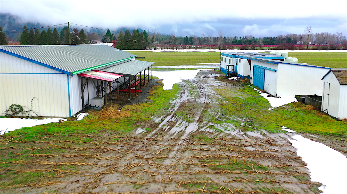 32 Acres of Accessible Fertile Farmland in Harrison Mills, BC