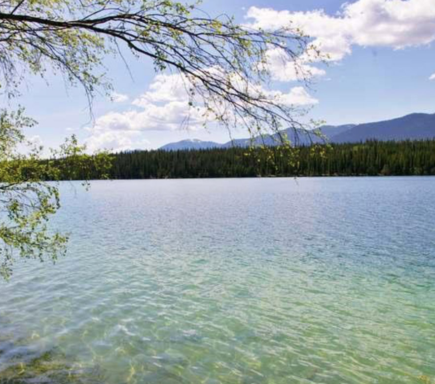 Picturesque Lakefront Lot 78 Big Bar Lake, BC LandQuest® Realty