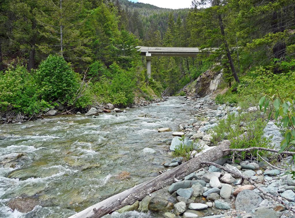 52 Acre Riverfront with Cabin, Gold & Platinum Claims Tulameen, BC