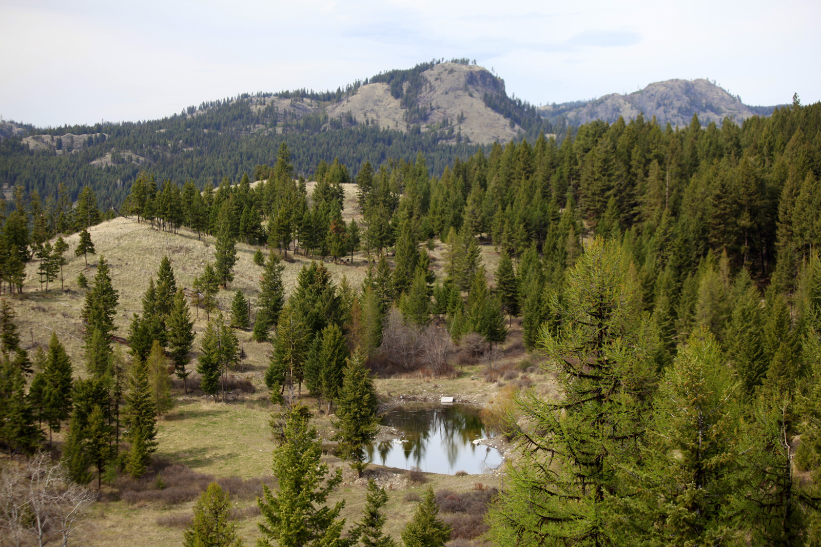 640 Acre Private Wildlife Paradise near Rock Creek, BC LandQuest® Realty