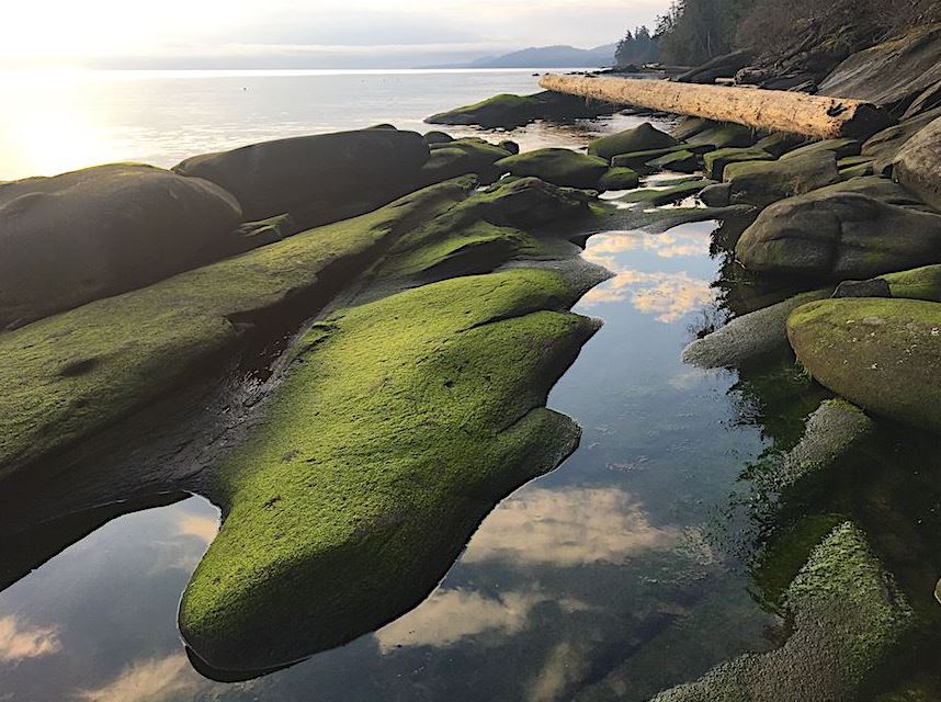 Waterfront Recreational Property Galiano Island LandQuest® Realty