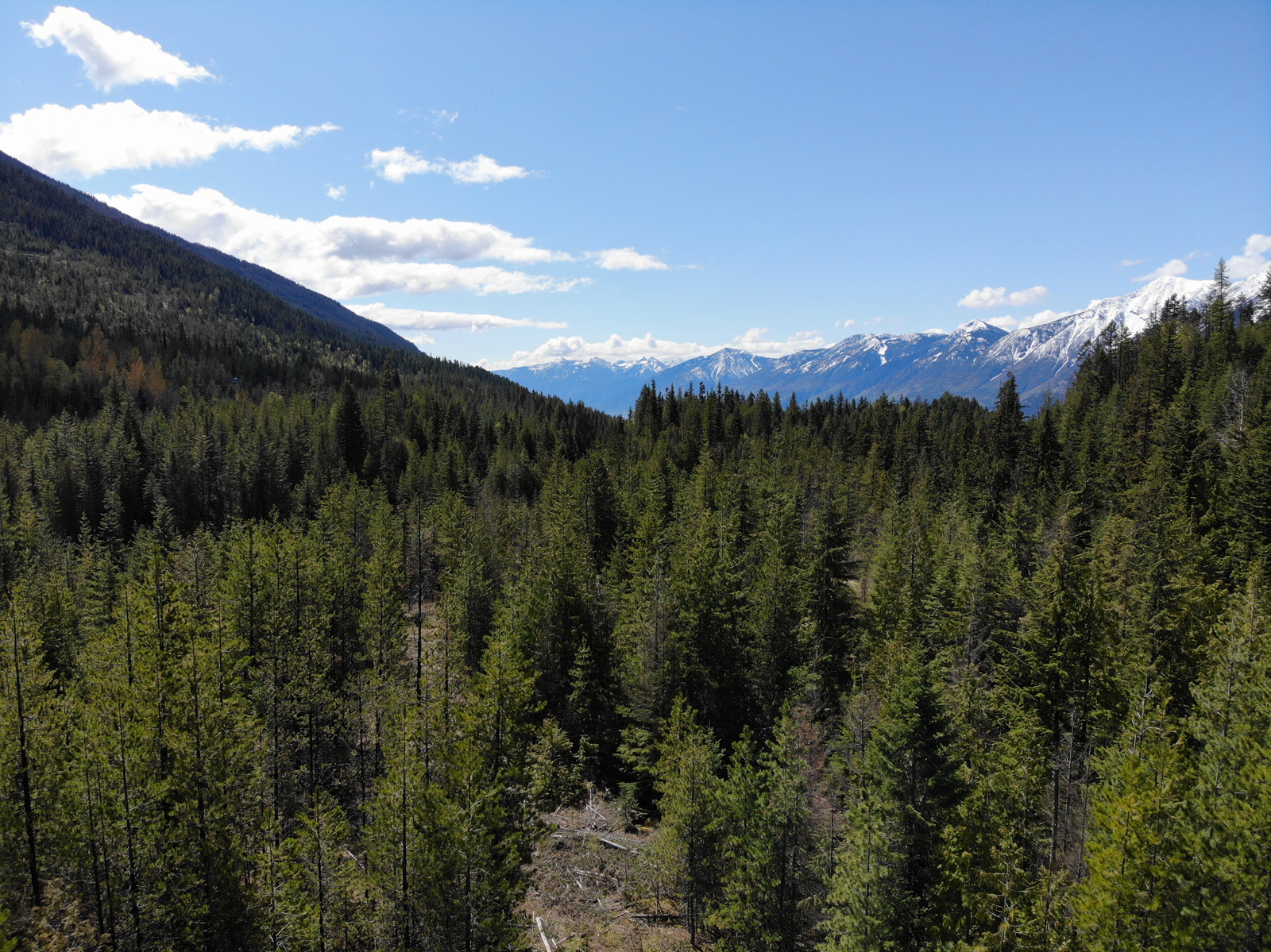 Acreage For Sale Kootenay Lake Bc at Karen Mathis blog