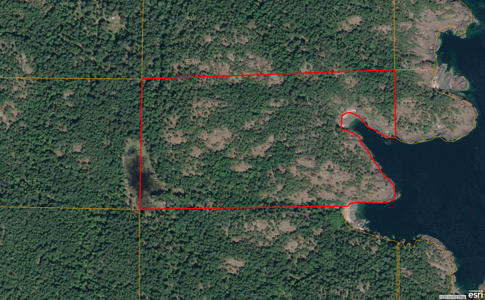 Untouched 78 Acre Waterfront on Lasqueti Island You Can See Mt. Baker