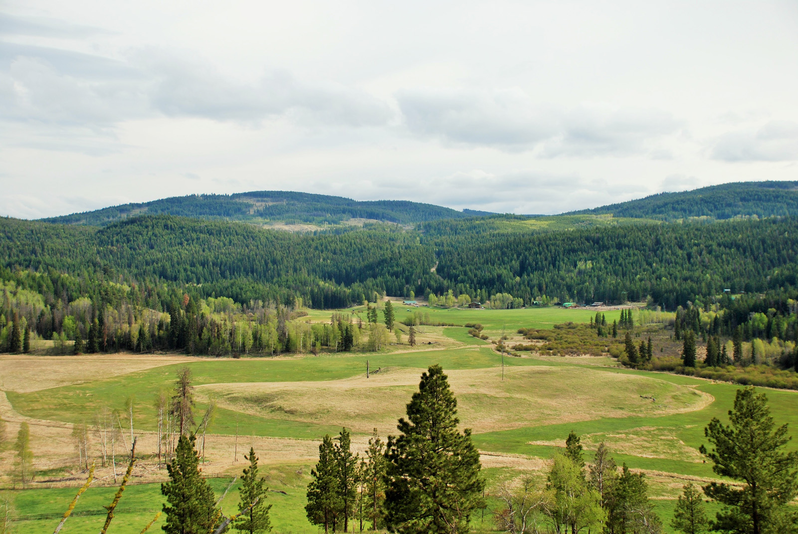 Large Private Acreage Backing onto Crown Land Merritt, BC LandQuest