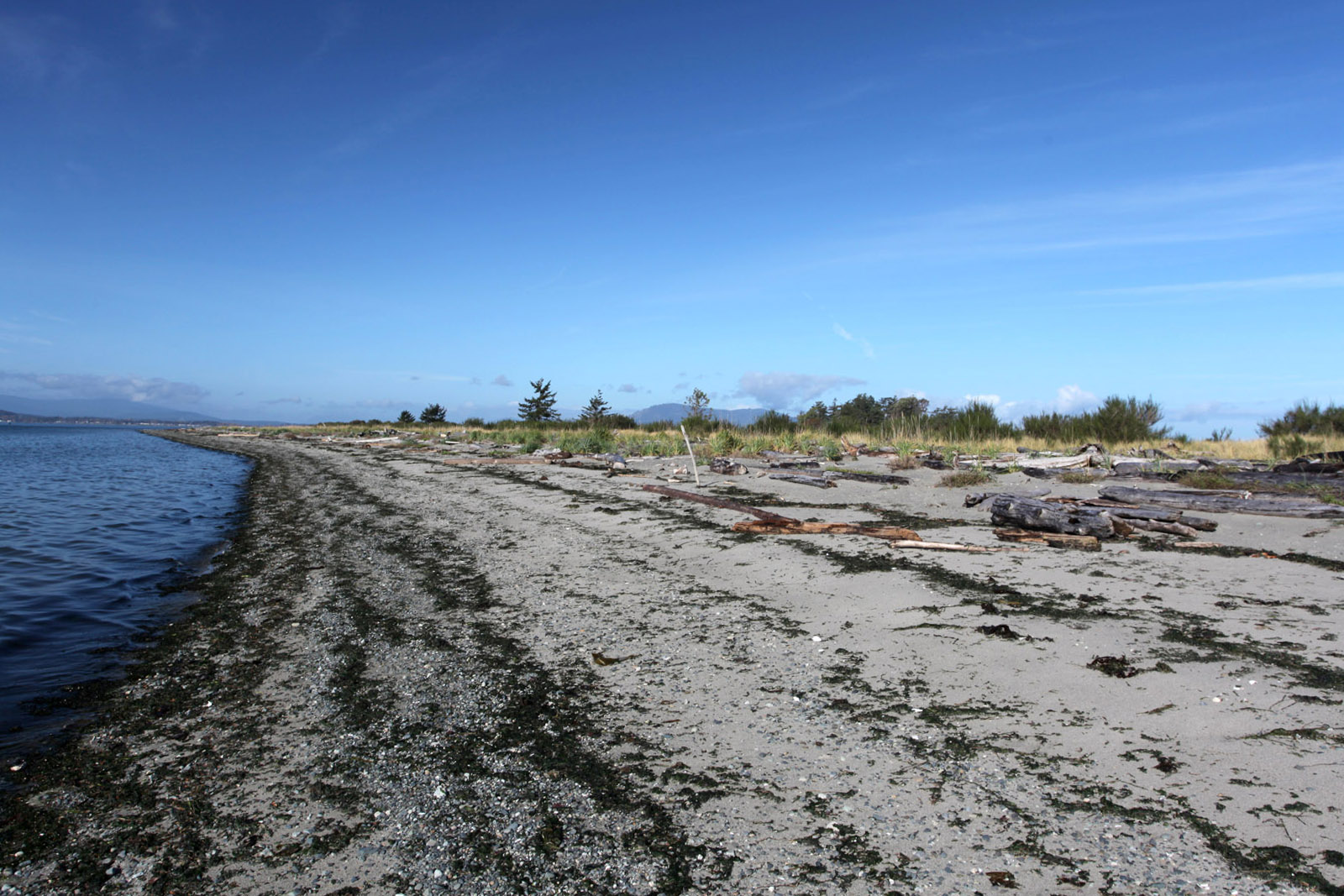 Sidney Island Oceanfront Strata Lot 19 Southern Gulf Islands, BC