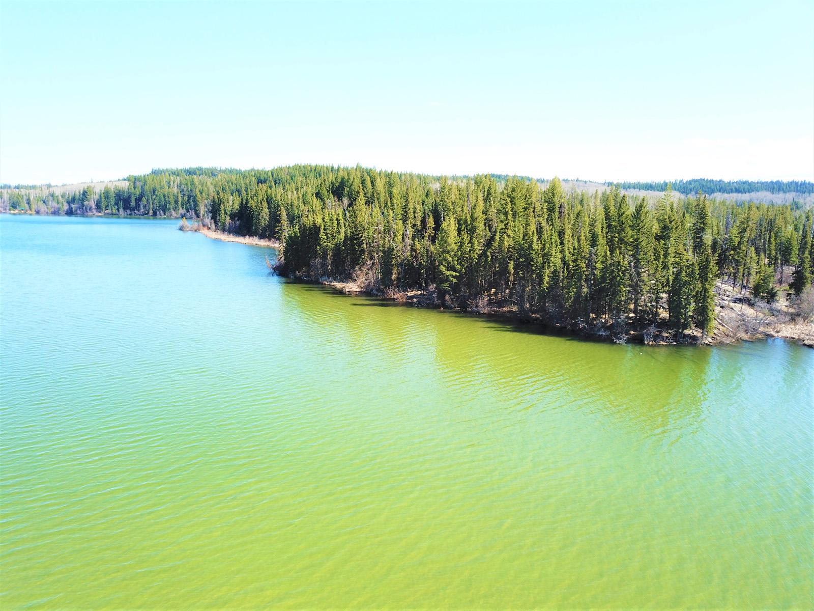 Large Lakefront Acreage with Subdivision Potential Bridge Lake, BC LandQuest® Realty Large Lakefront Acreage with Subdivision Potential Bridge Lake, BC LandQuest® Realty