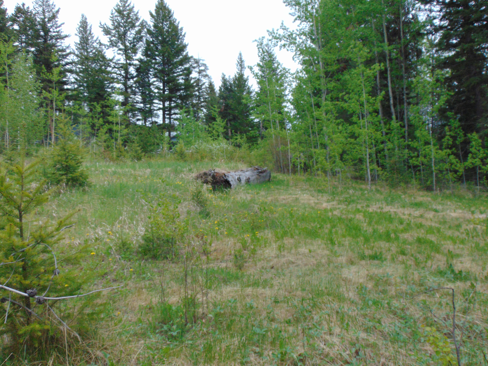 Beautiful Fully Serviced Lot Ready for Development Minutes from Horse