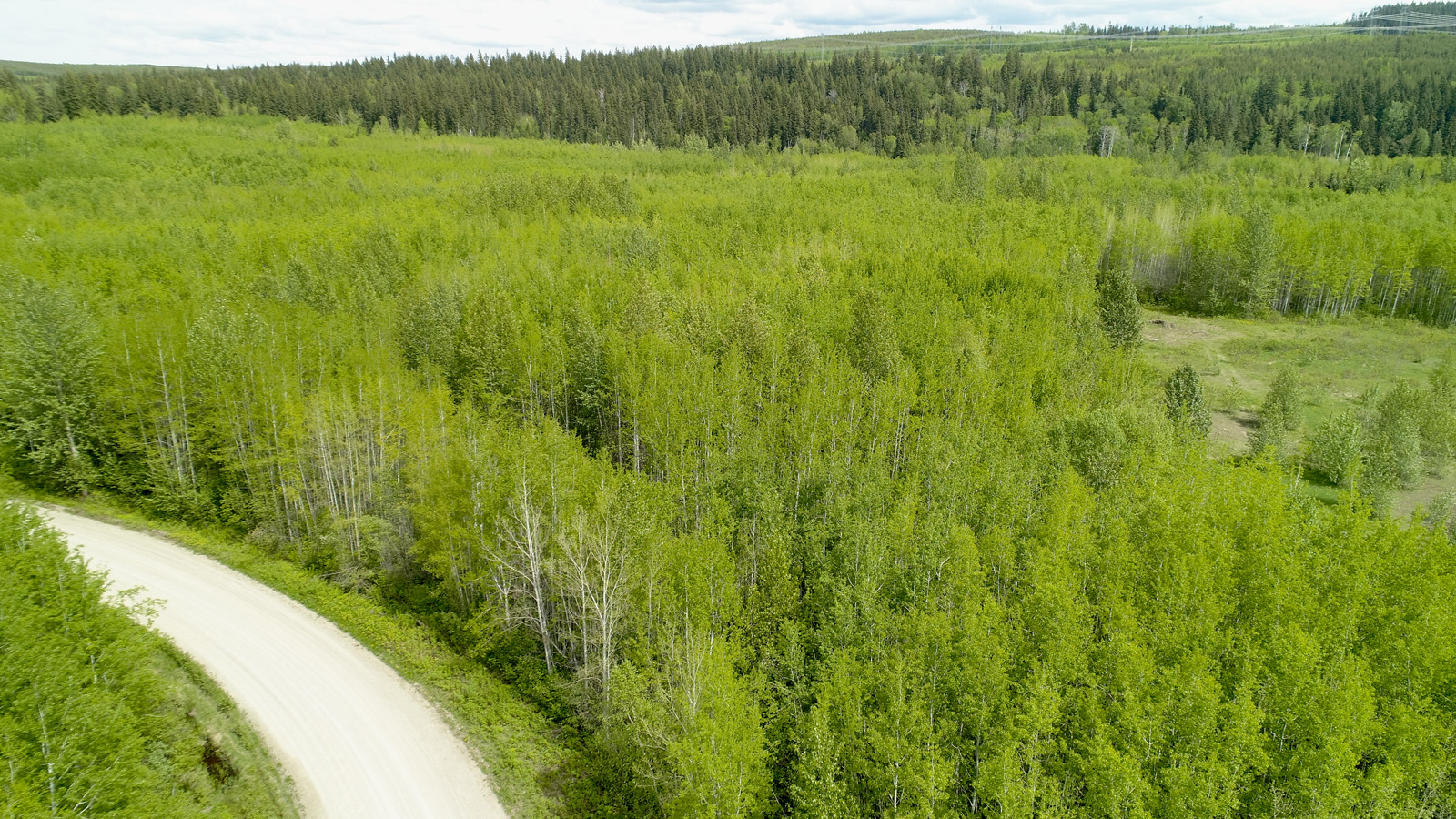 Hobby Farm with Mighty Views Rural Prince LandQuest® Realty