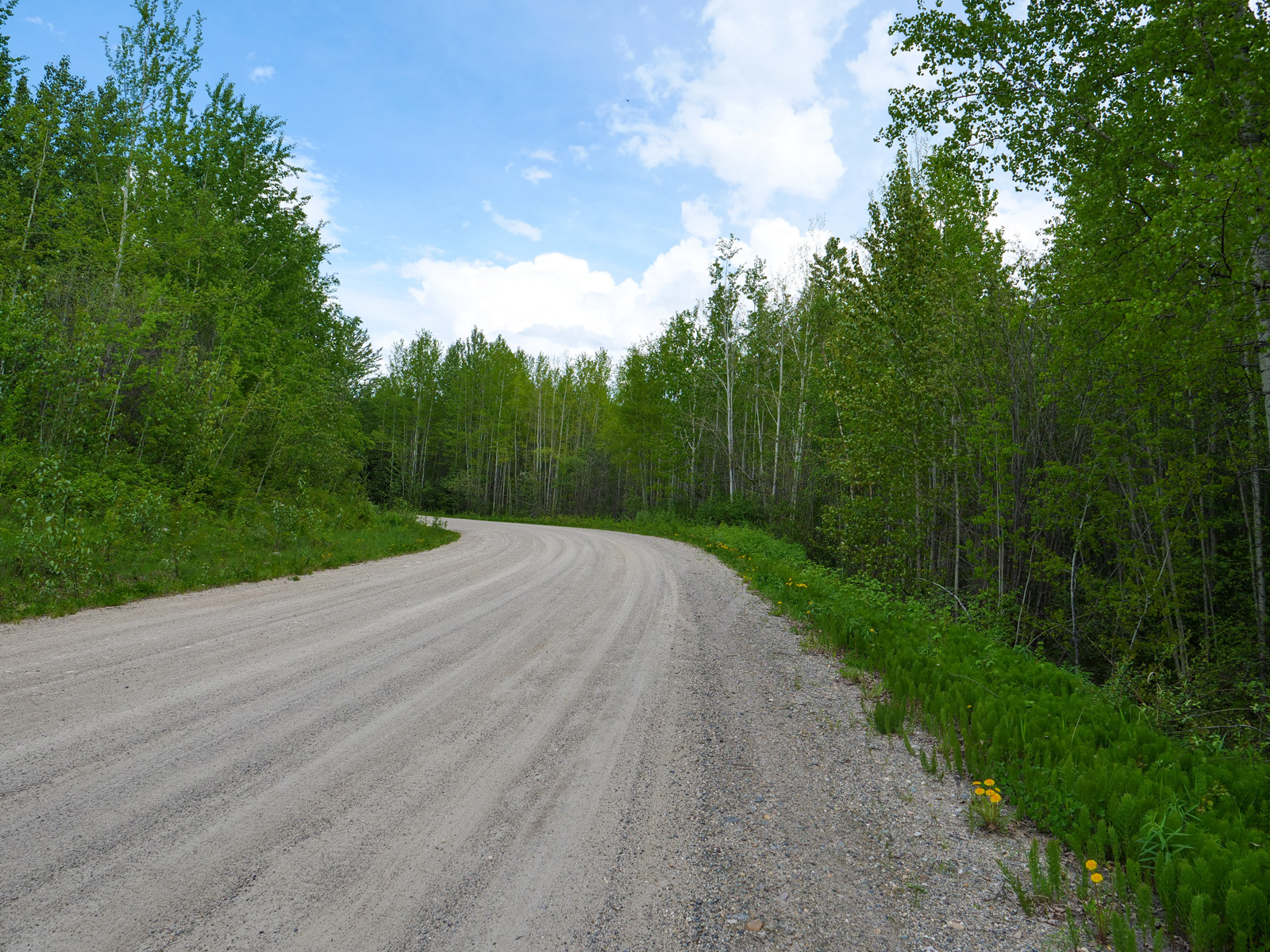 Hobby Farm with Mighty Views Rural Prince LandQuest® Realty