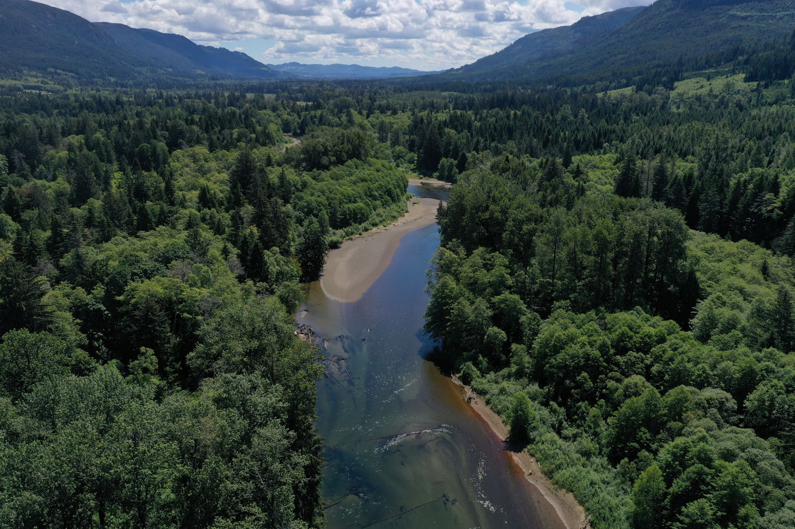 Salmon River Country Estate Sayward Valley LandQuest® Realty