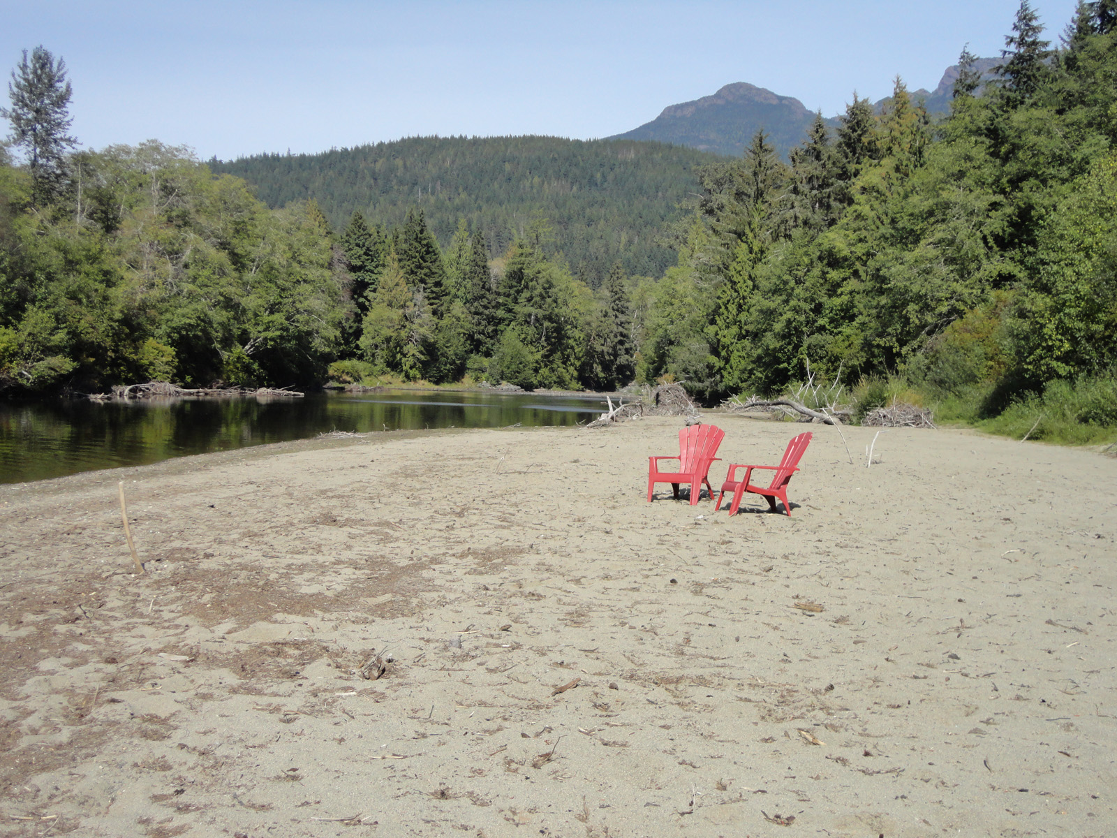 Salmon River Country Estate Sayward Valley LandQuest® Realty