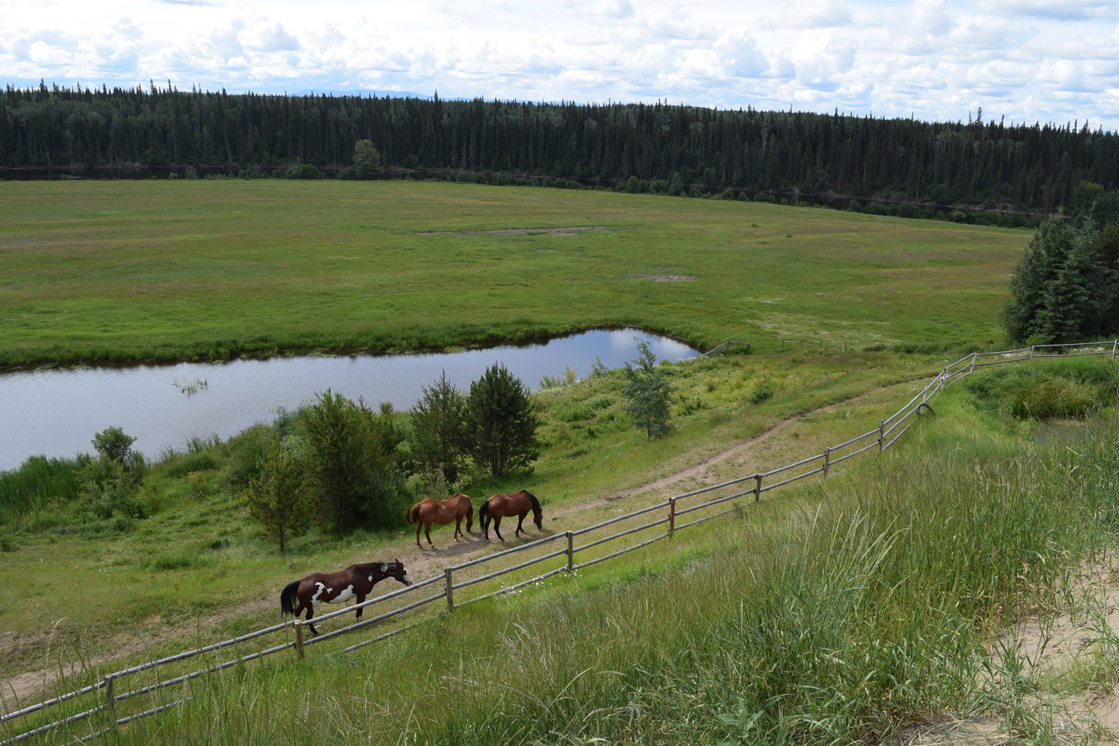 Riverfront Family Farm with Potential Vanderhoof, BC