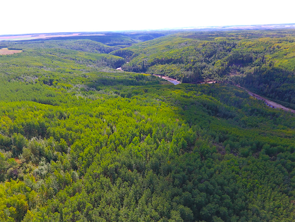 461 Acres of Prime Recreational and Summer Pasture on the Doig River