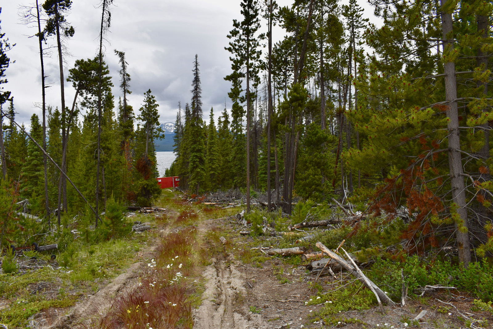 Offgrid Lakefront Lots Charlotte Lake LandQuest® Realty