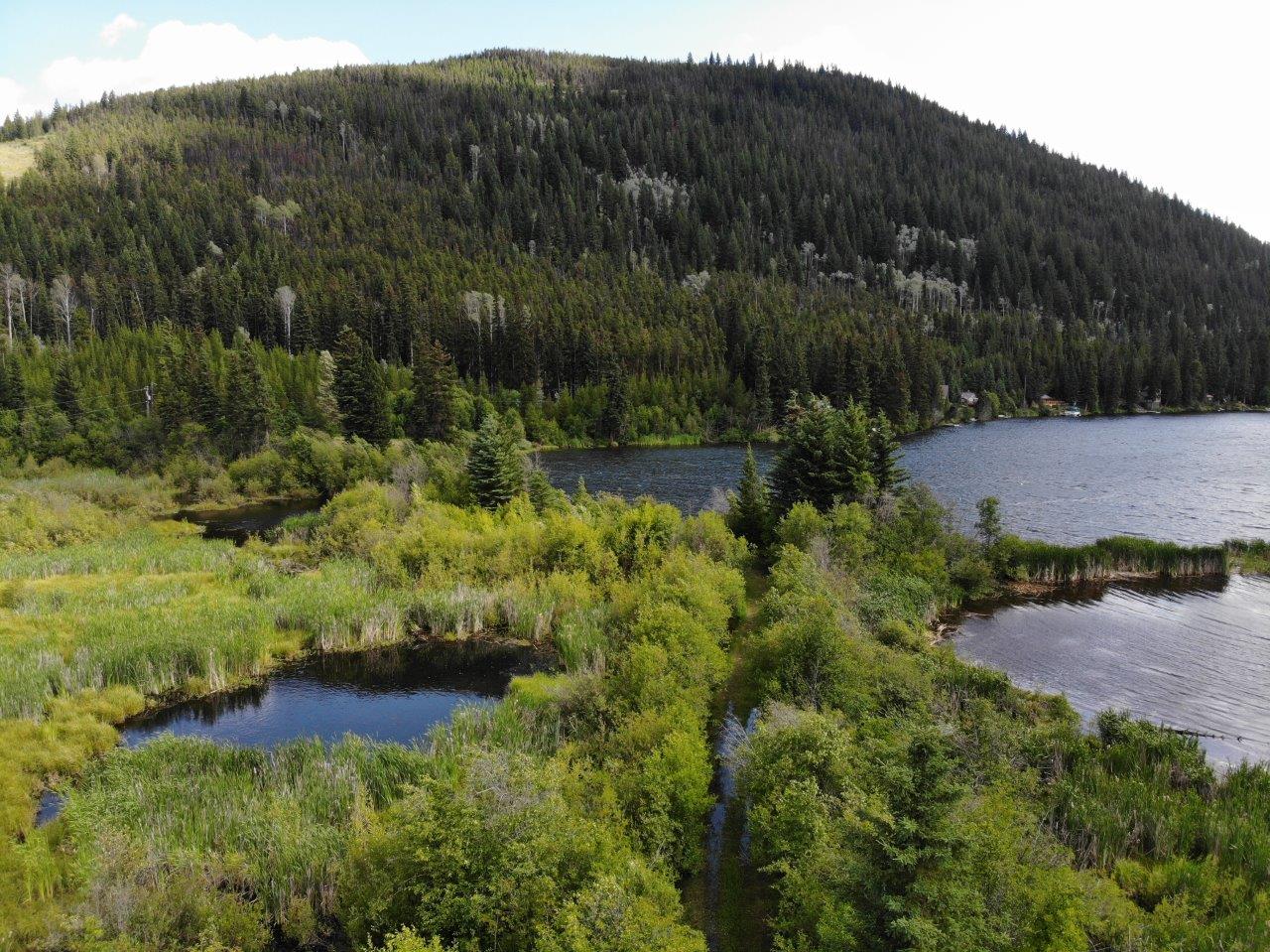 Scenic Lakefront Acreage Almost 10 Acres! Chain Lake, BC LandQuest® Realty