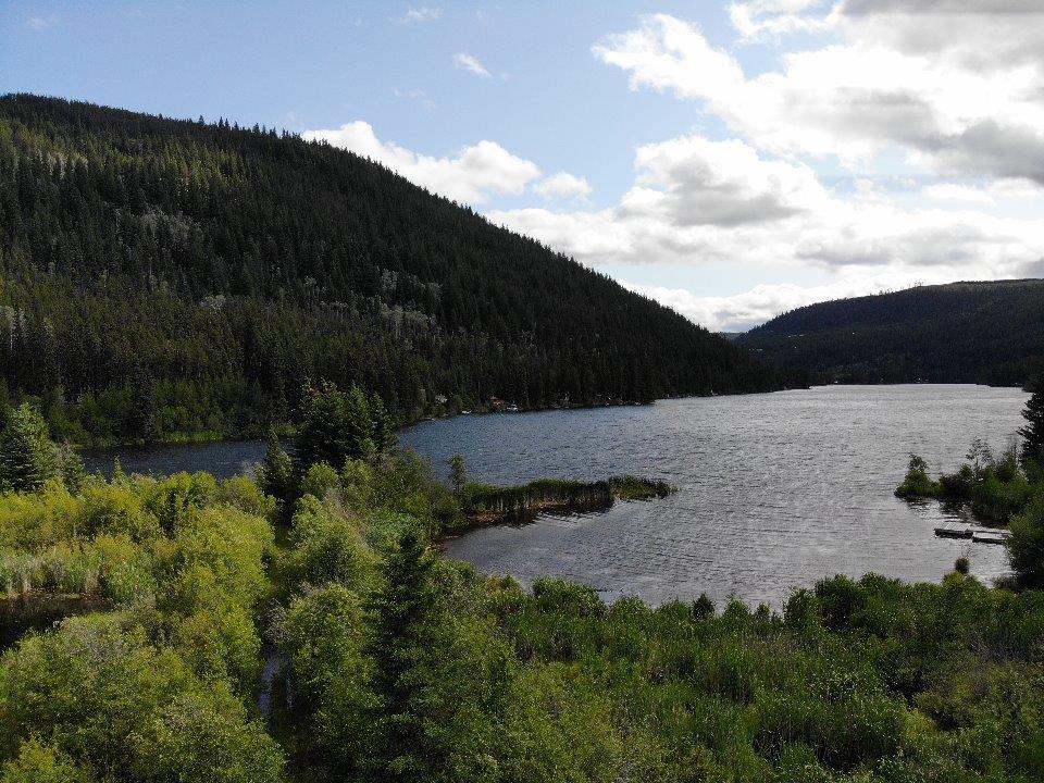 Scenic Lakefront Acreage Almost 10 Acres! Chain Lake, BC LandQuest® Realty